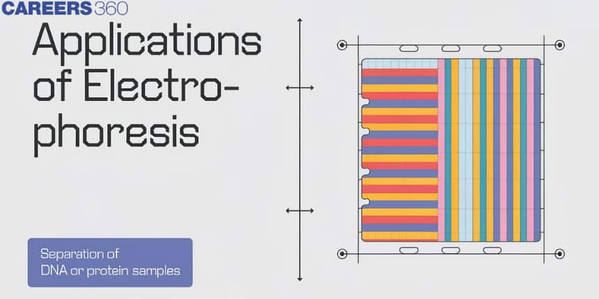 Applications Of Electrophoresis: Uses, Application, Factors and FAQs